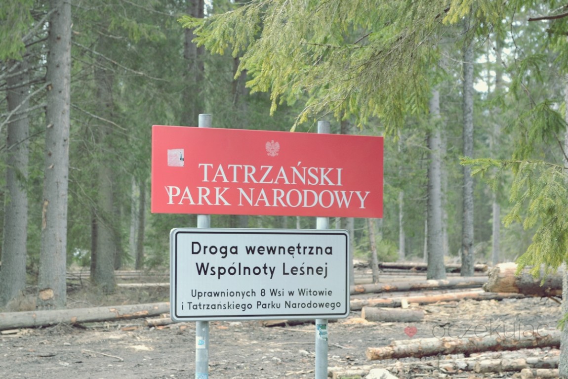 100007zakopane wedrowki