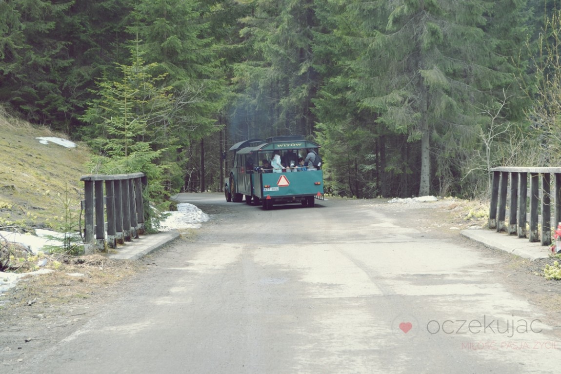 100008zakopane wedrowki