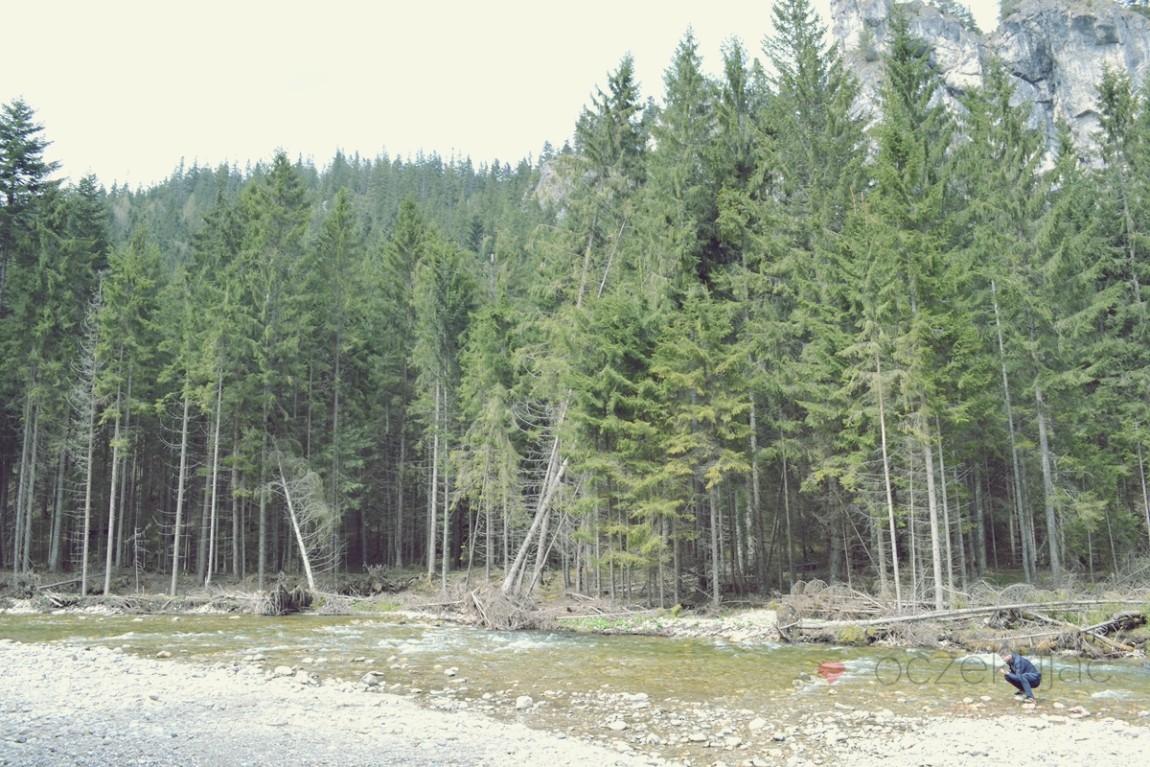 100013zakopane wedrowki