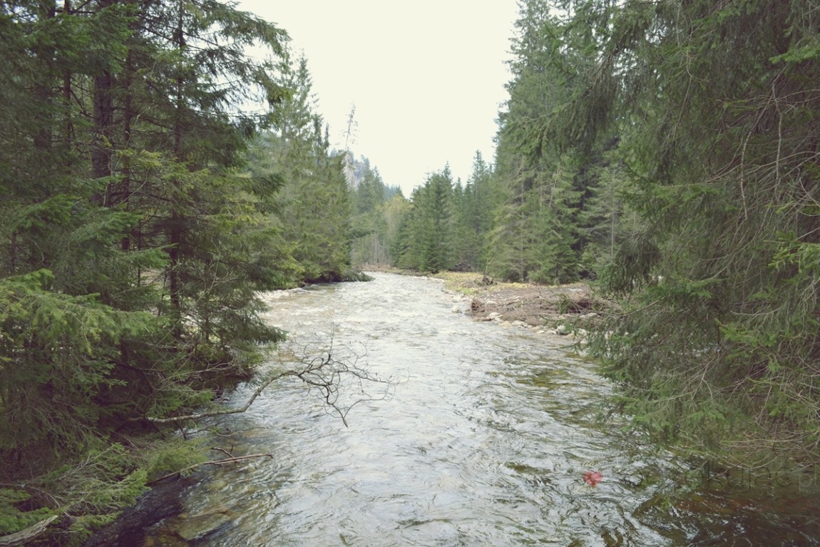 100015zakopane wedrowki