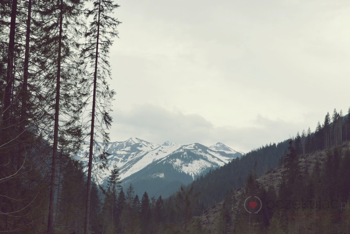 100016zakopane wedrowki