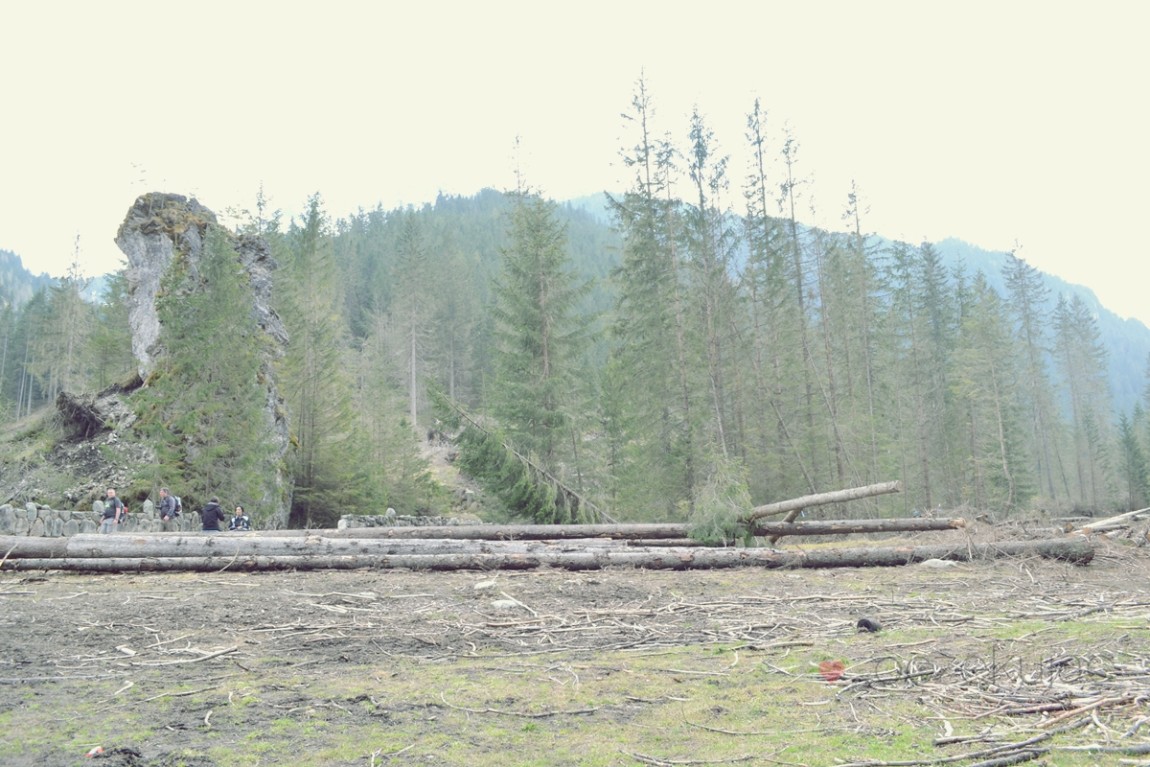 100019zakopane wedrowki