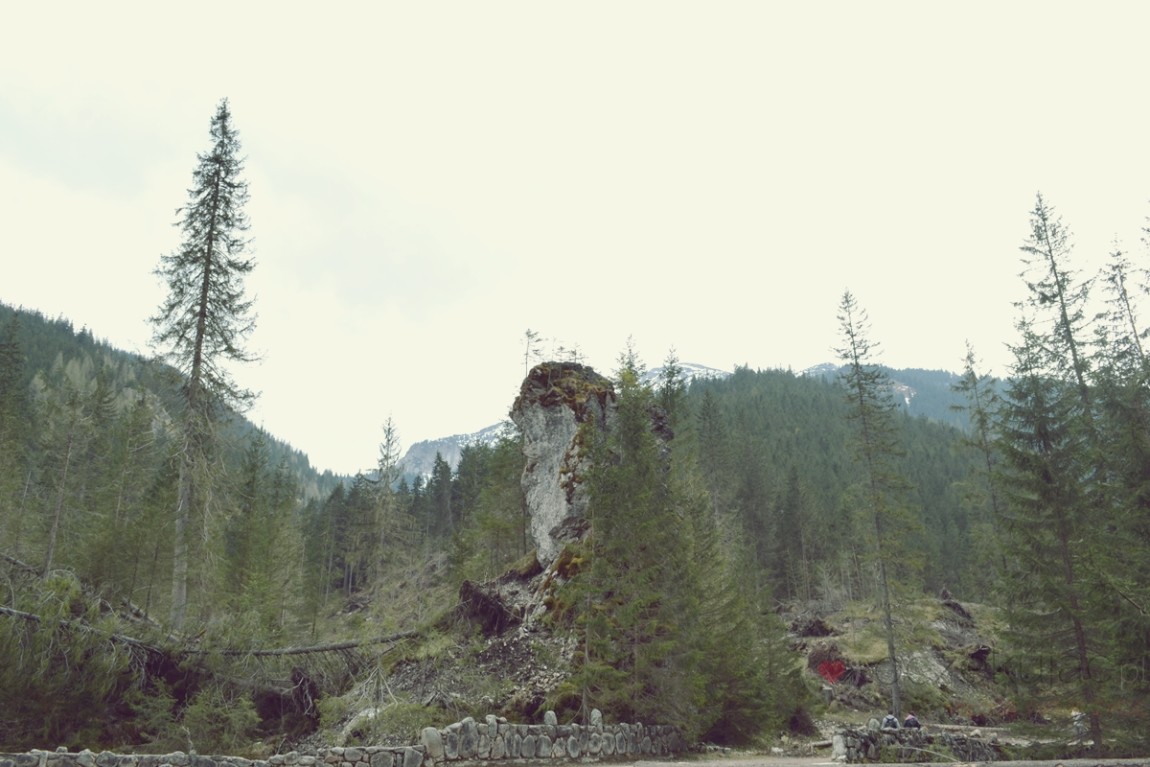 100020zakopane wedrowki