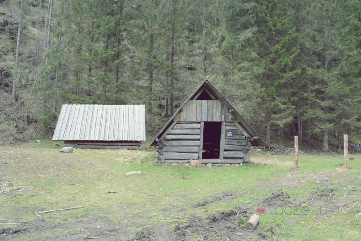 100021zakopane wedrowki