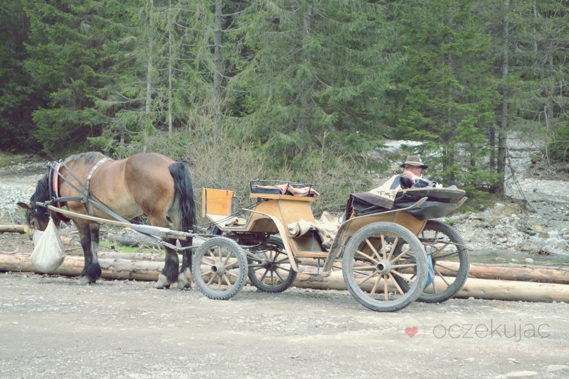 100025zakopane wedrowki