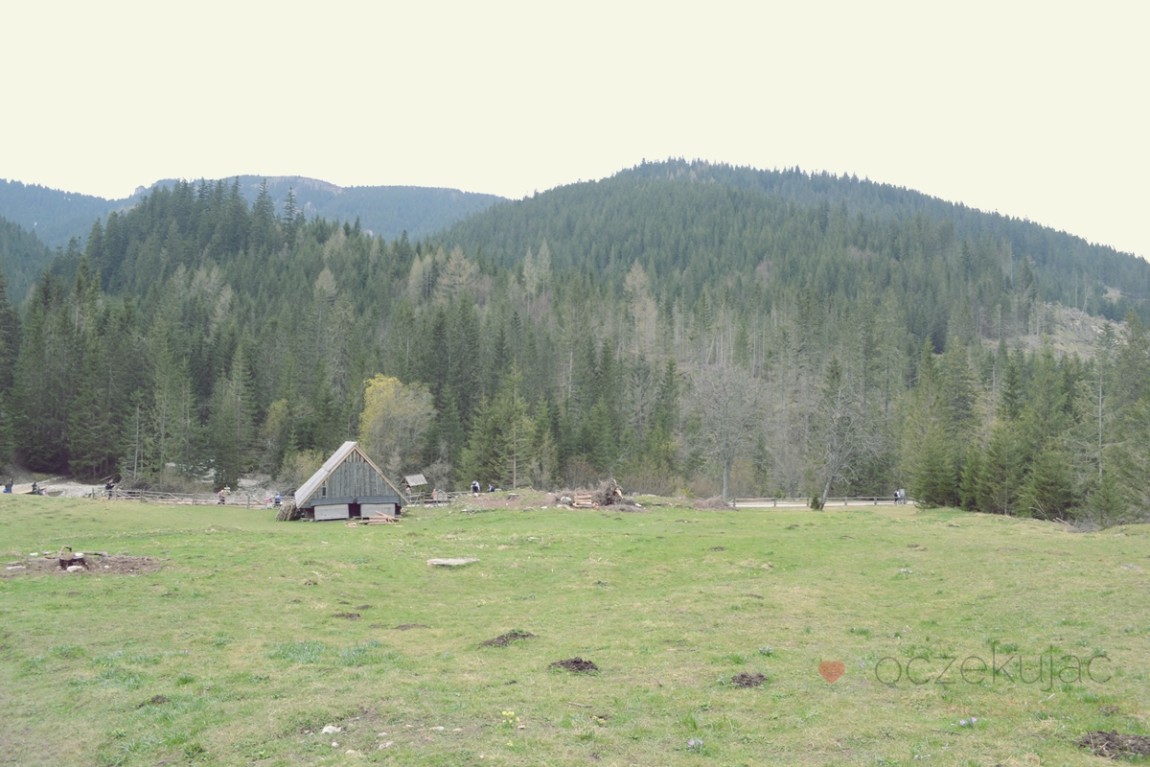 100028zakopane wedrowki