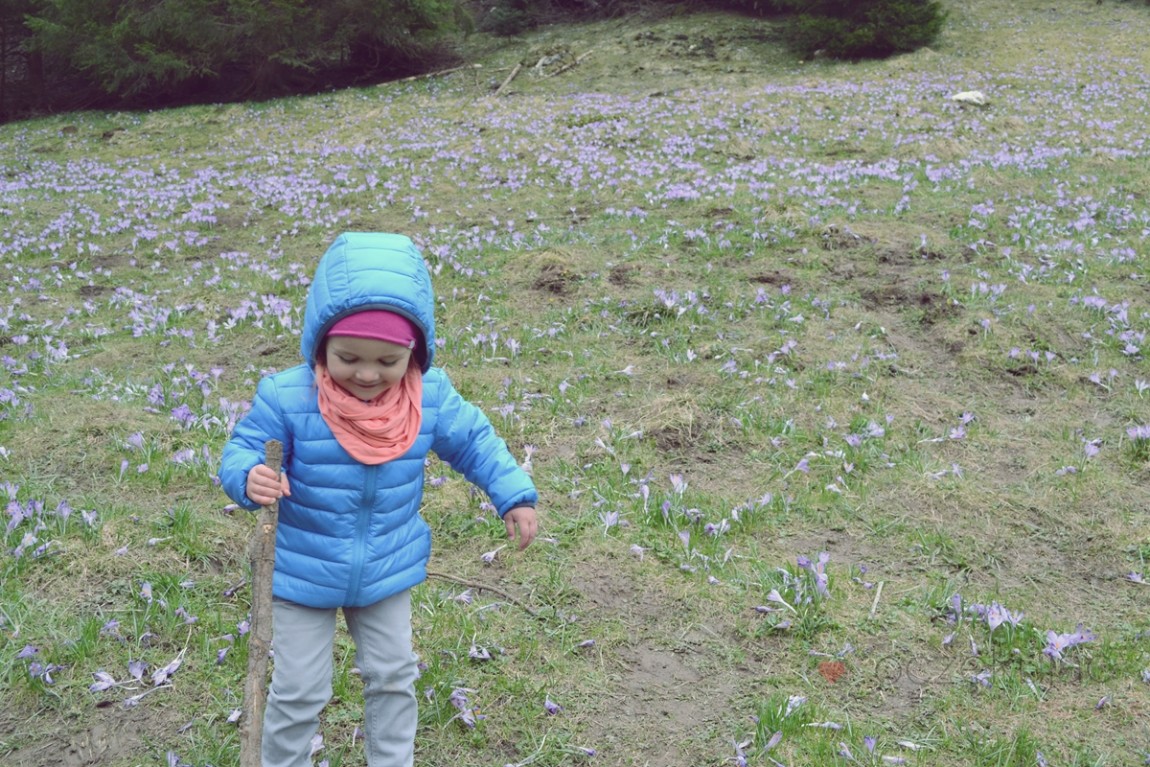 100030zakopane wedrowki