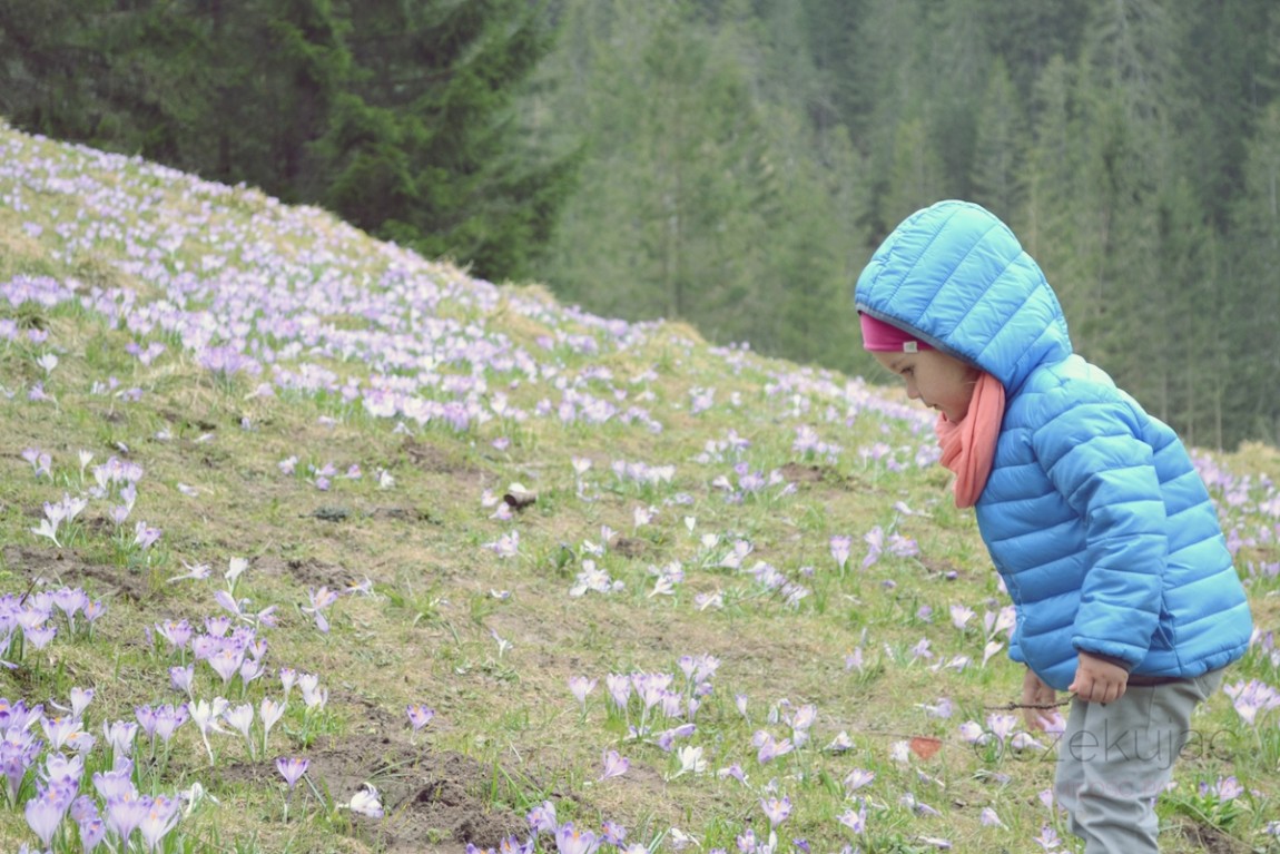 100031zakopane wedrowki