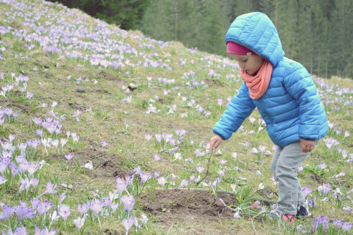 100032zakopane wedrowki