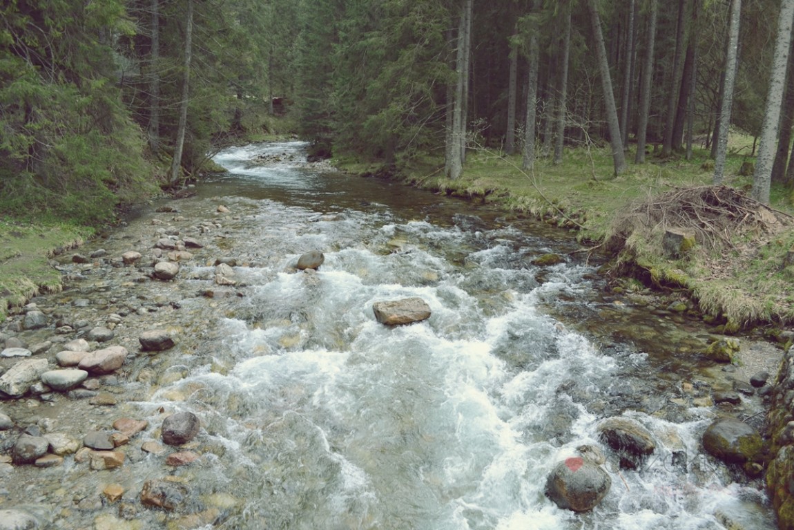 100042zakopane wedrowki