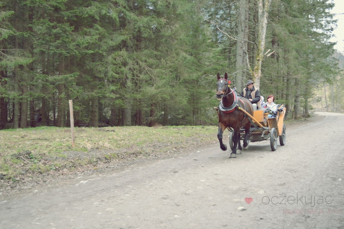 100043zakopane wedrowki