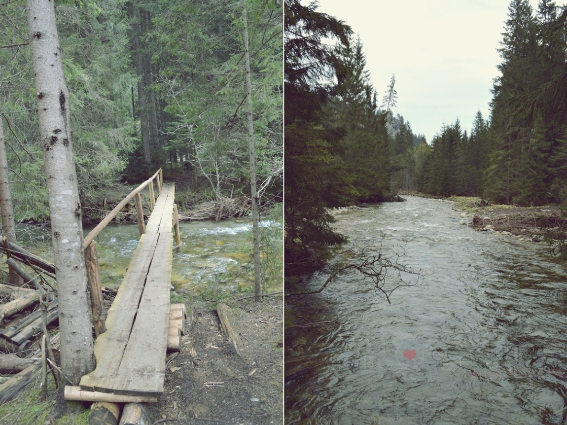 100054zakopane wedrowki