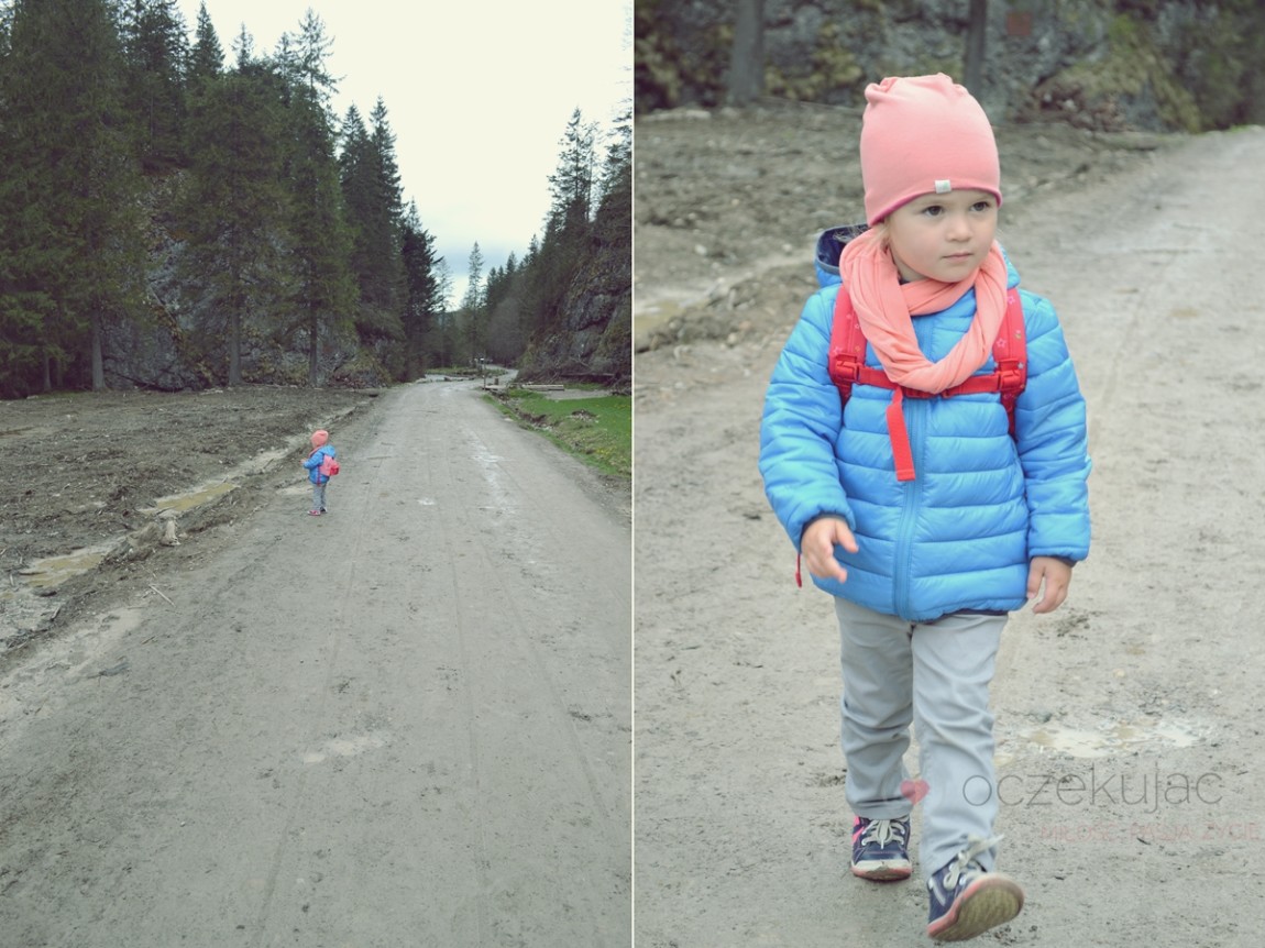 100058zakopane wedrowki