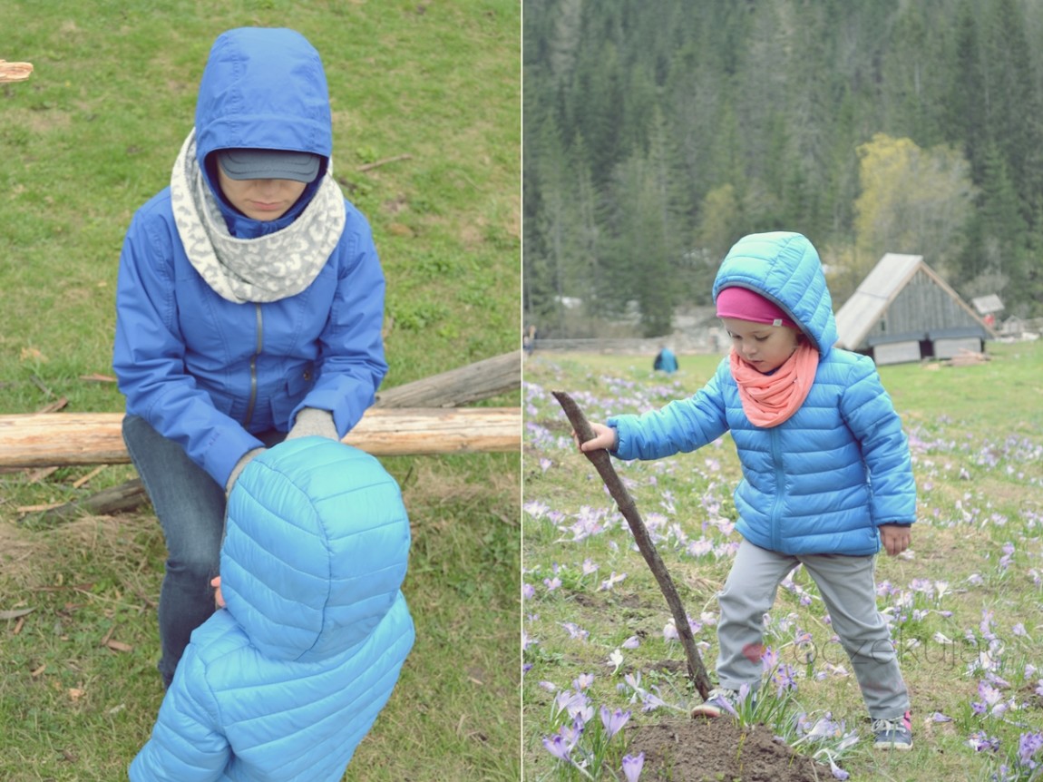 100059zakopane wedrowki