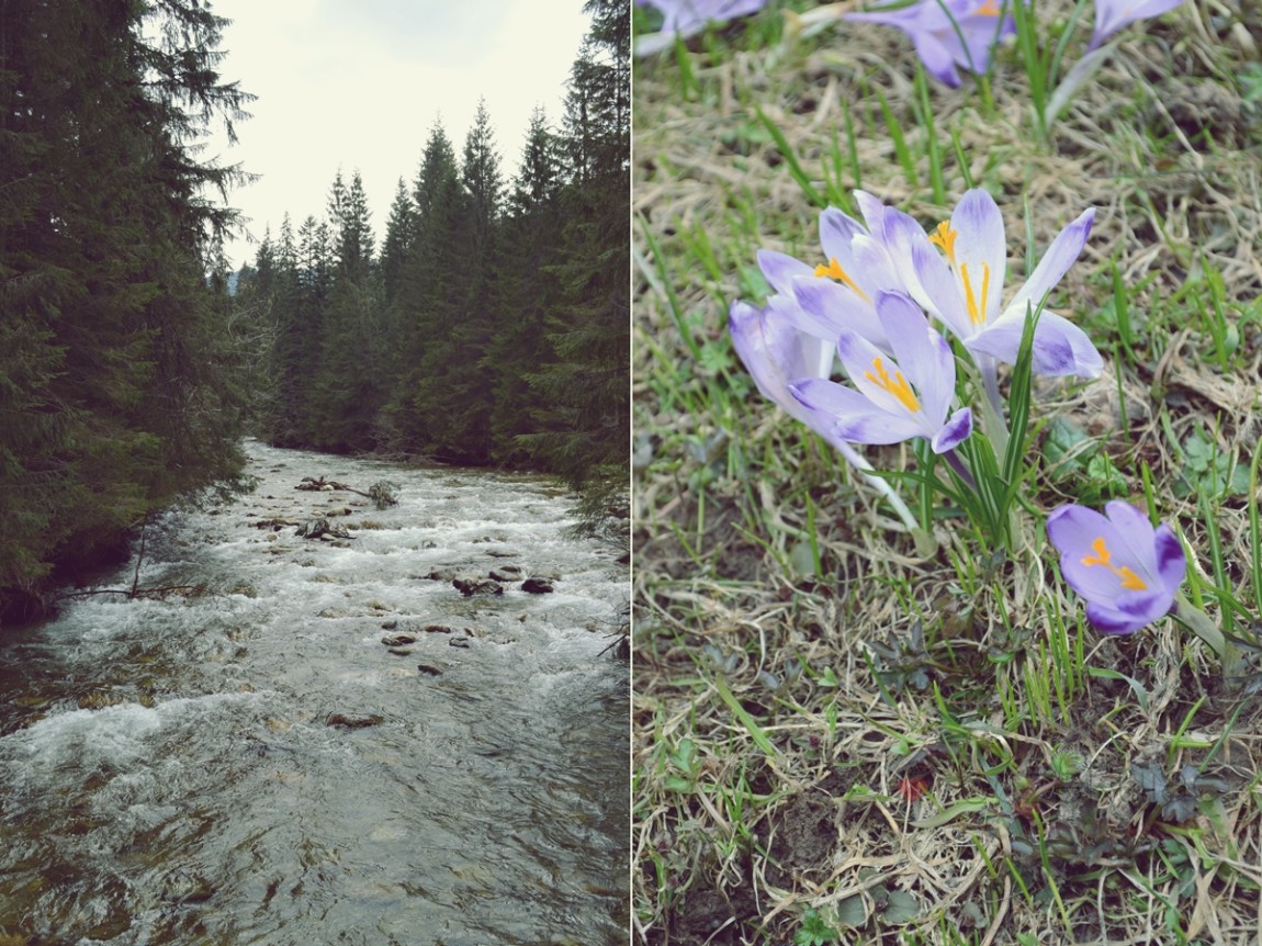 100060zakopane wedrowki