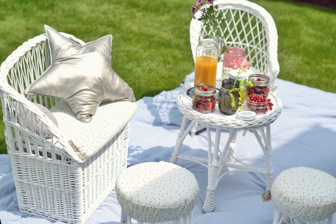 100003piknik w ogrodzie