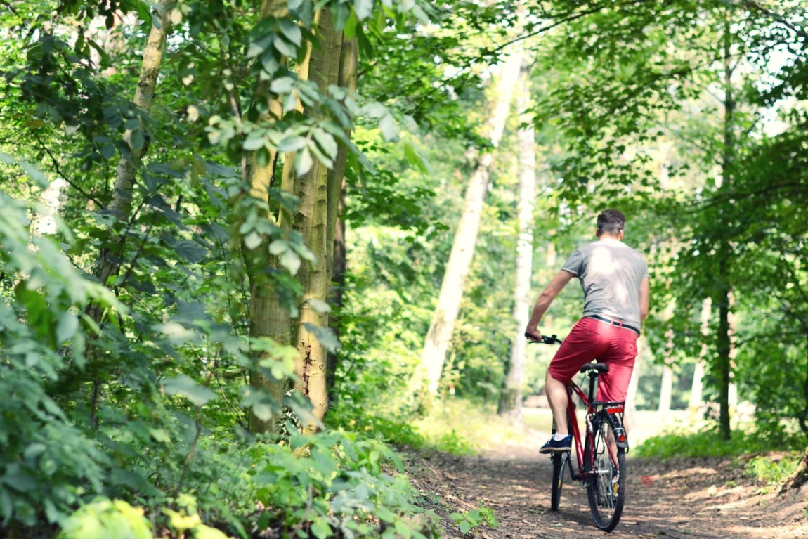 100003rower climber tesco