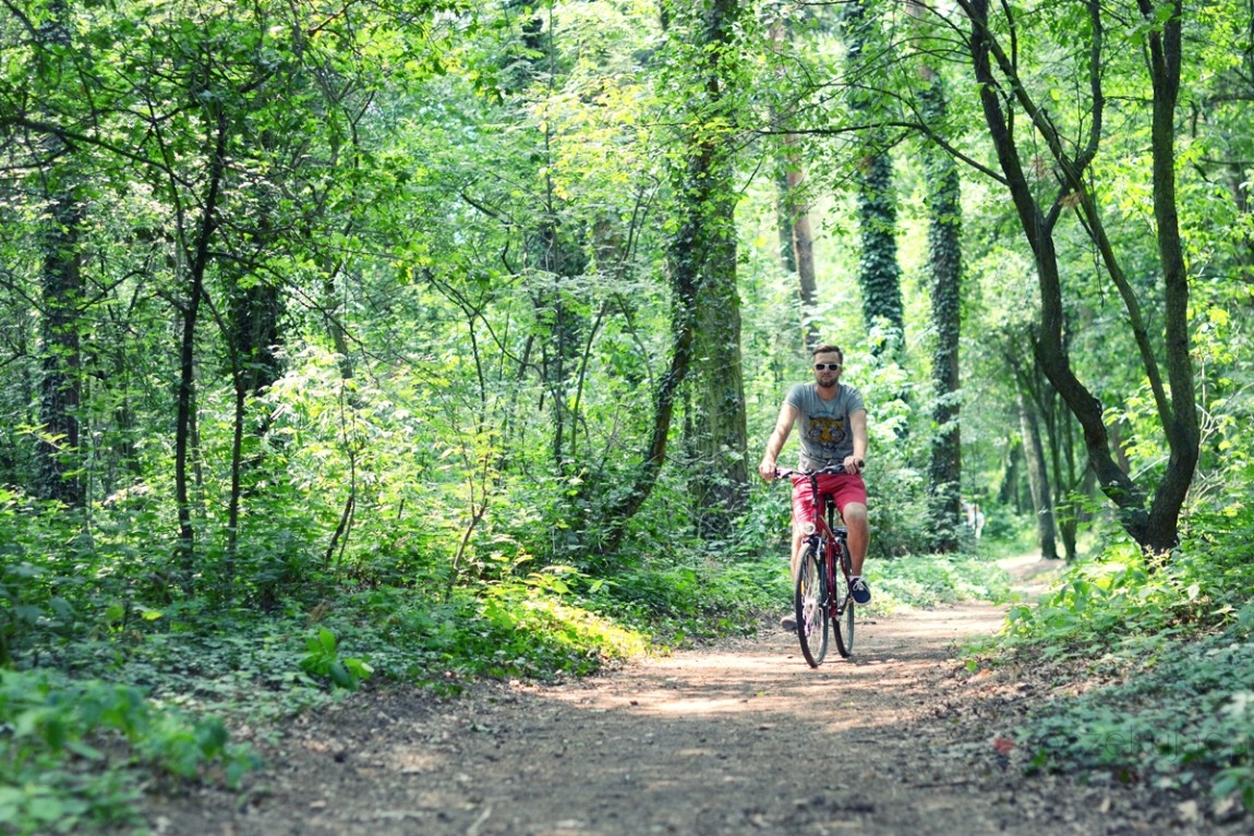 100004rower climber tesco