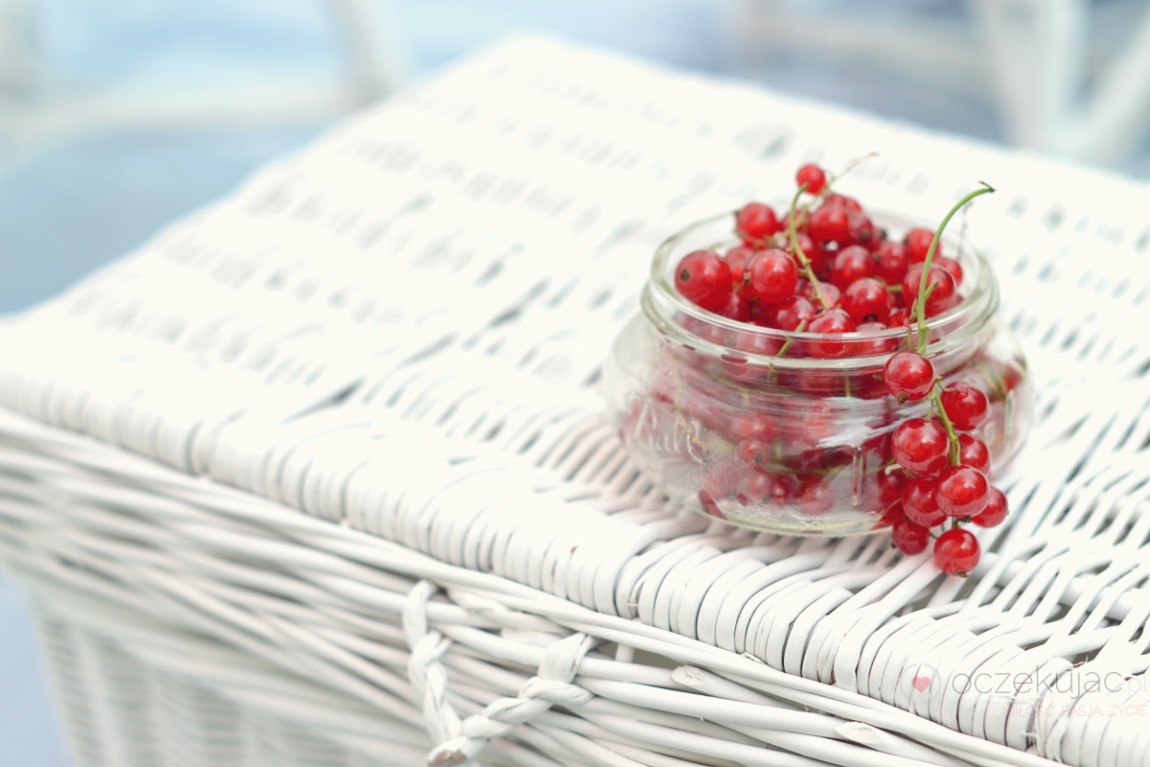 100005piknik w ogrodzie