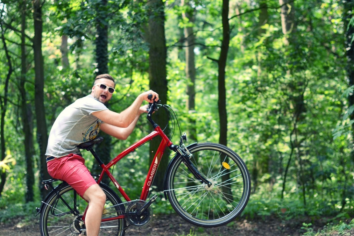 100007rower climber tesco