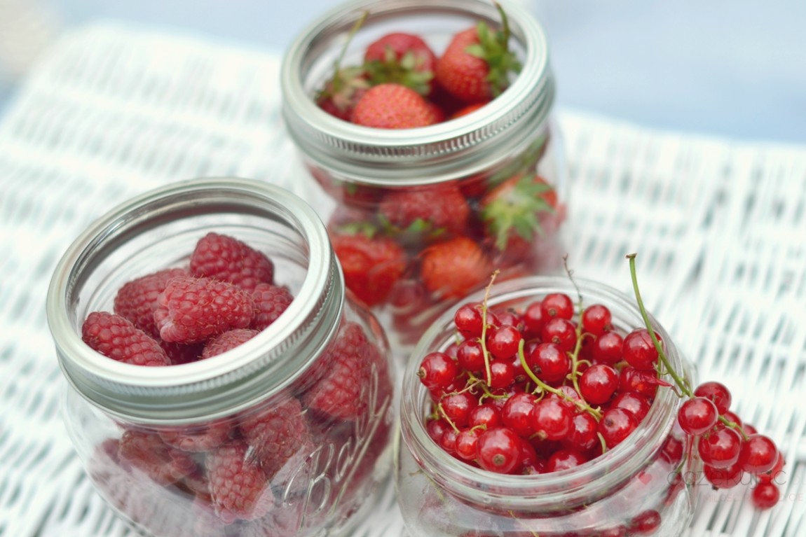 100008piknik w ogrodzie