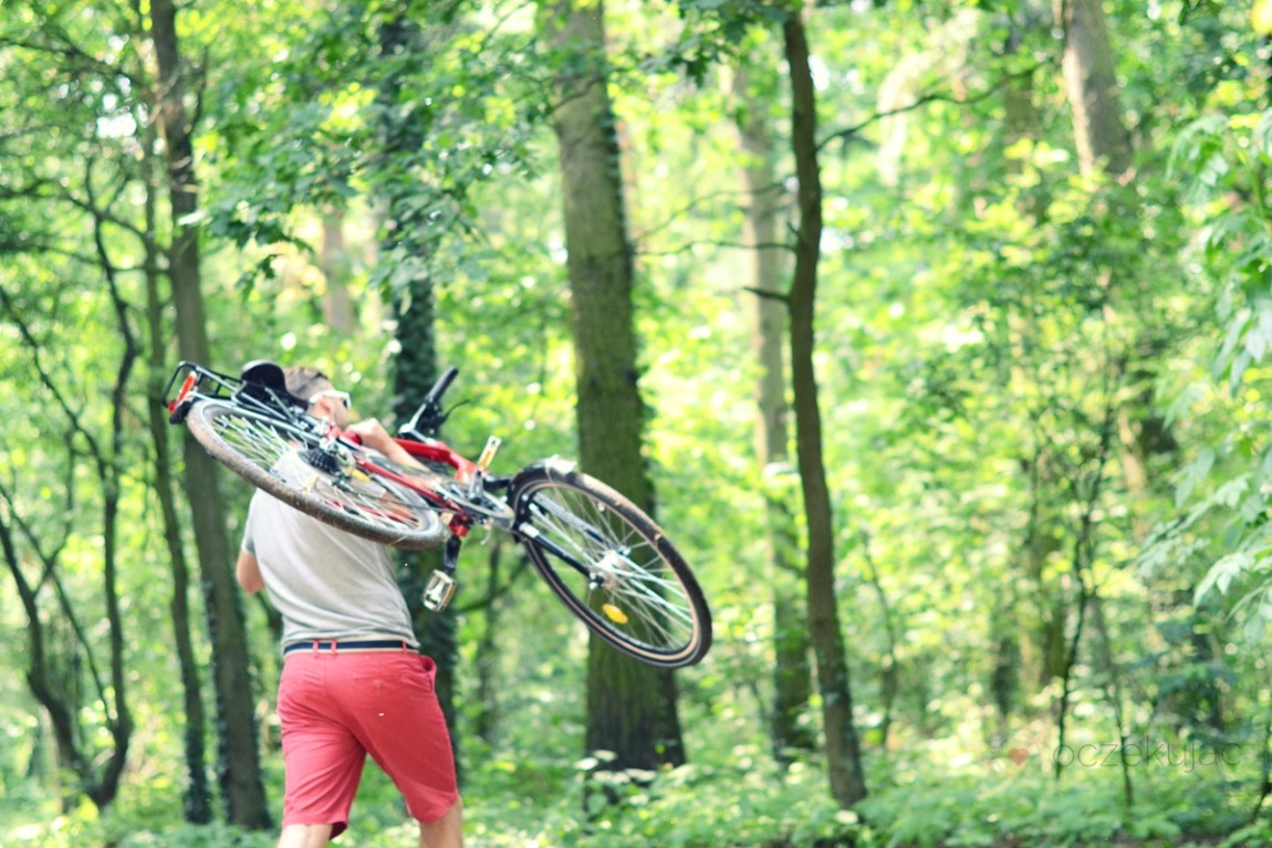 100008rower climber tesco