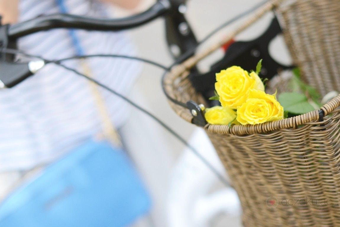 100008rower crown tesco