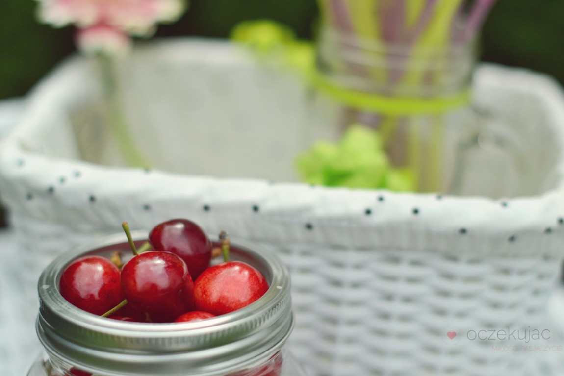 100009piknik w ogrodzie