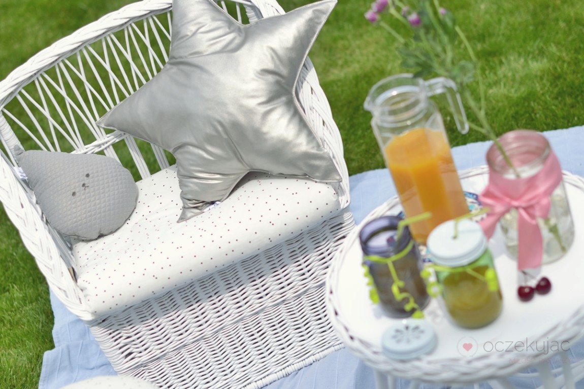 100013piknik w ogrodzie