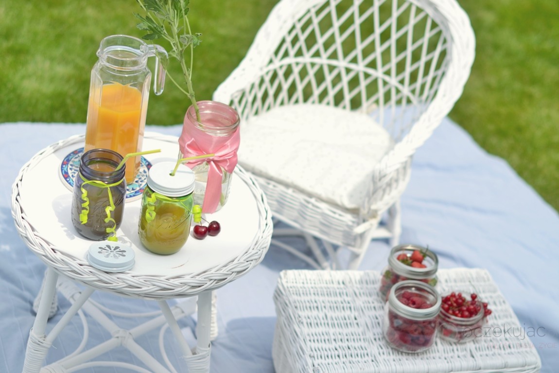 100015piknik w ogrodzie