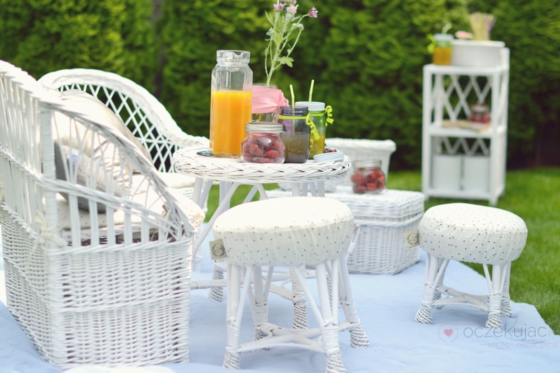 100016piknik w ogrodzie