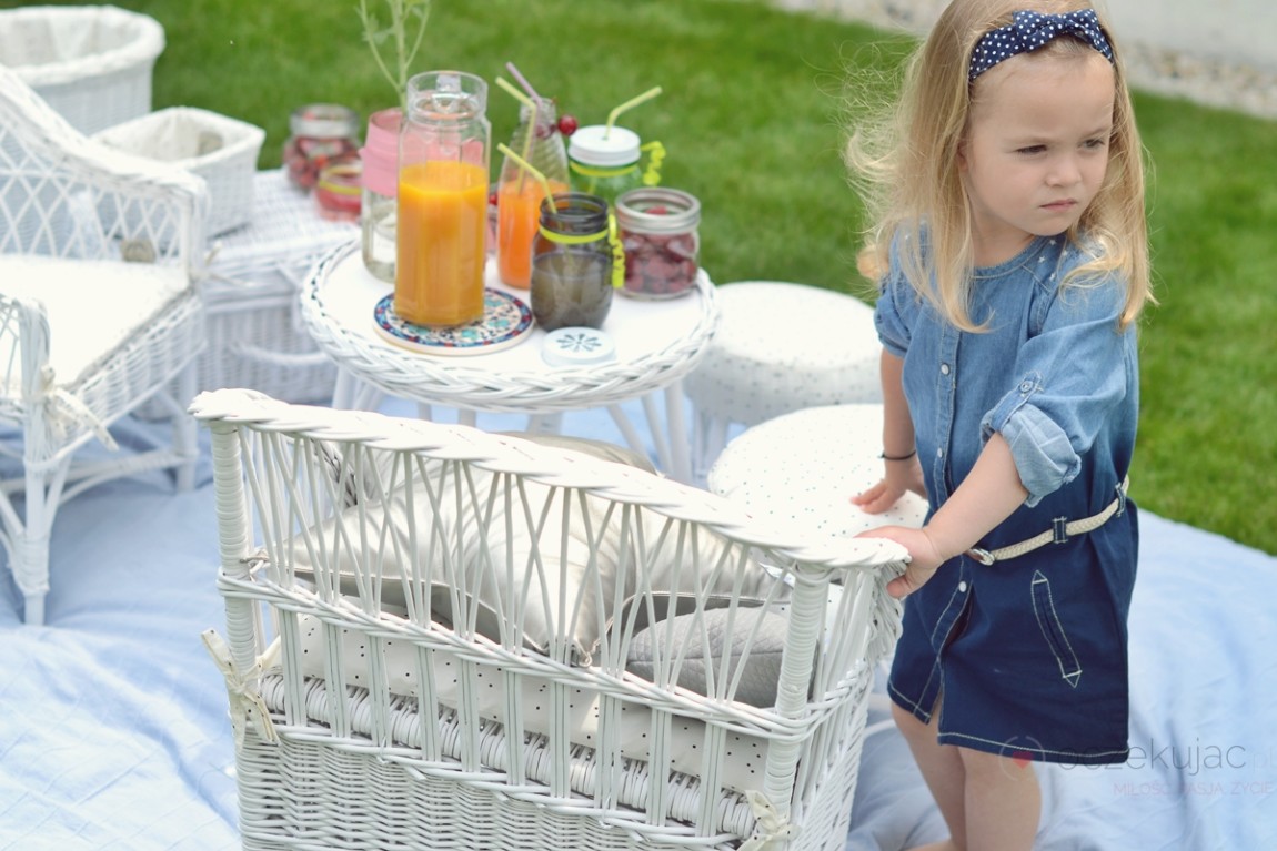 100028piknik w ogrodzie