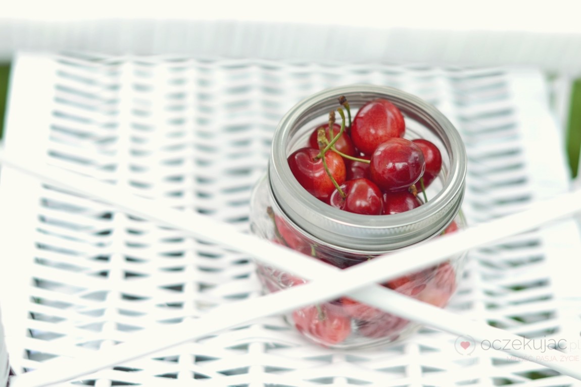 100034piknik w ogrodzie