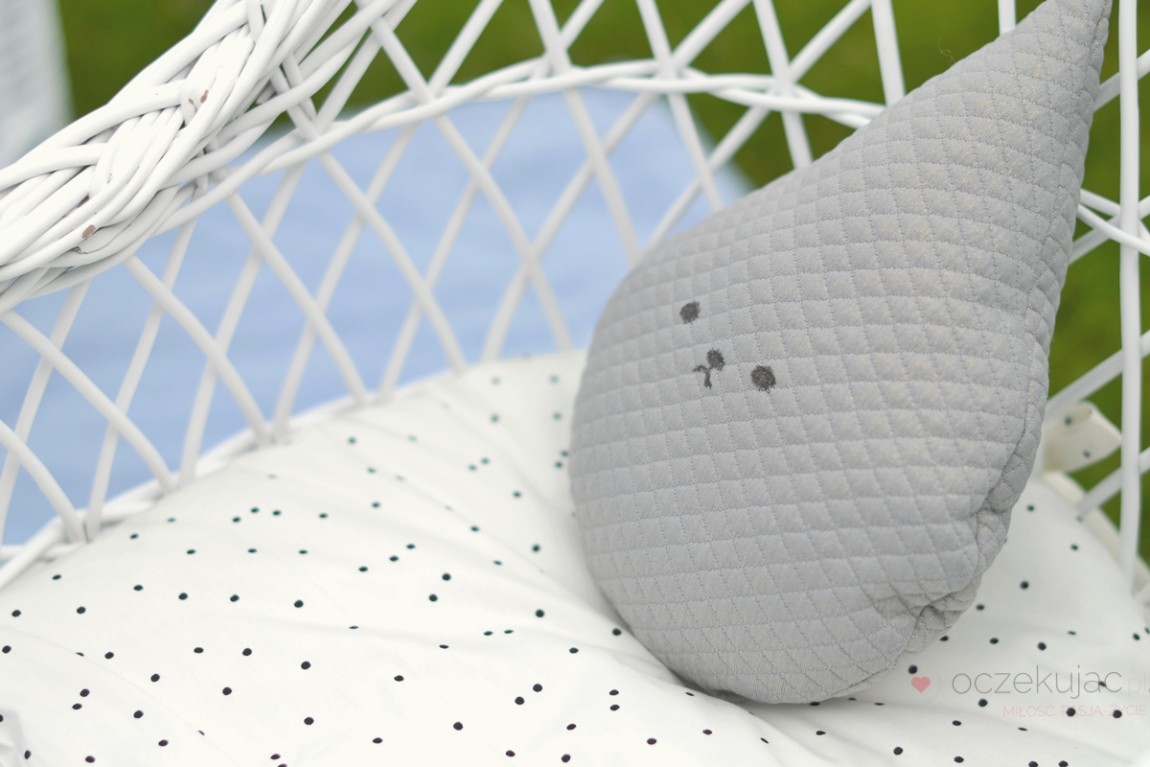 100036piknik w ogrodzie