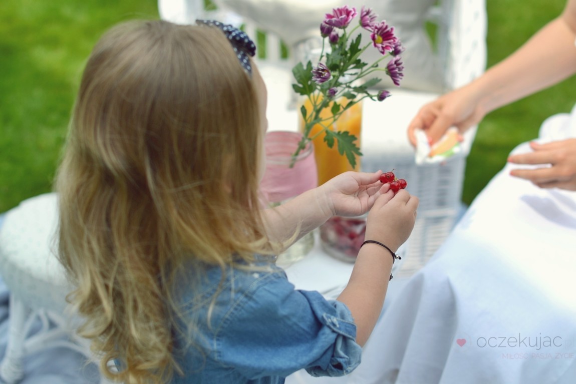 100041piknik w ogrodzie