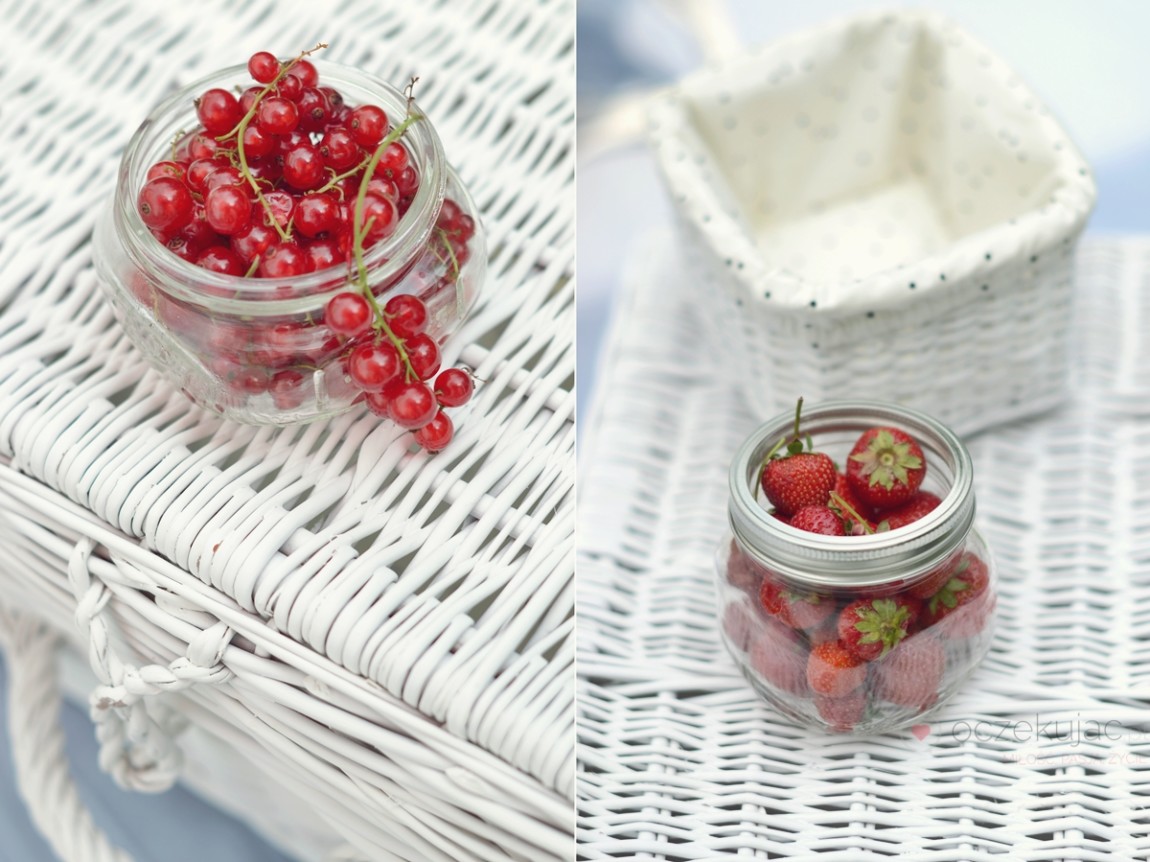 100042piknik w ogrodzie