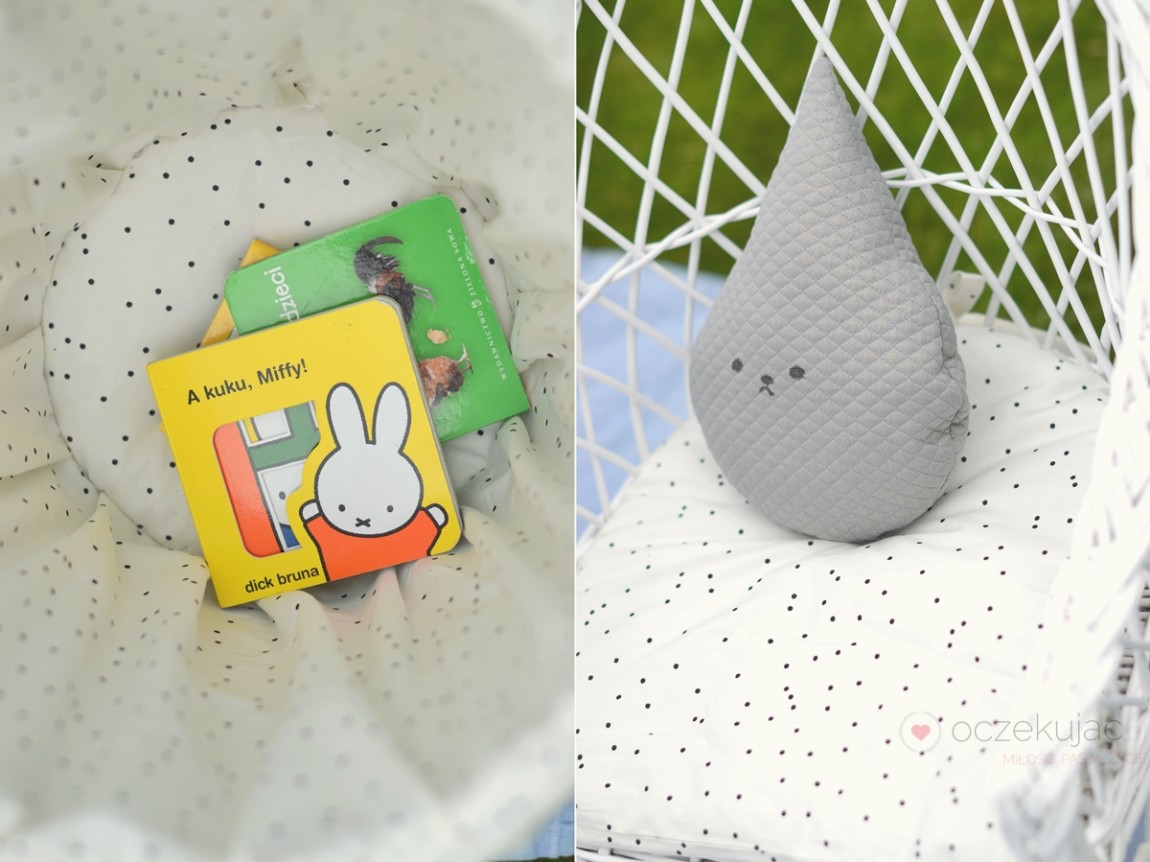 100050piknik w ogrodzie