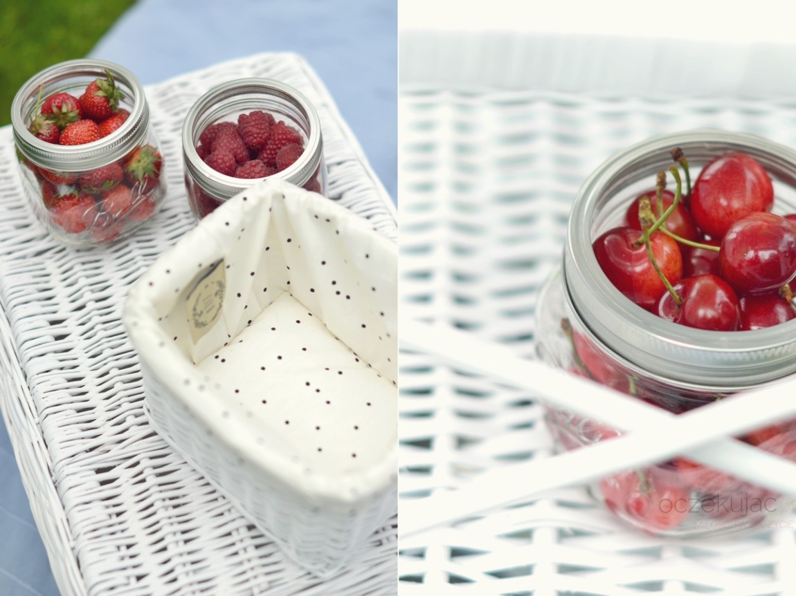 100051piknik w ogrodzie