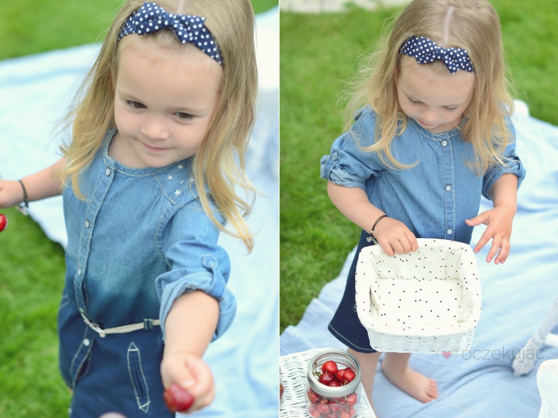 100052piknik w ogrodzie