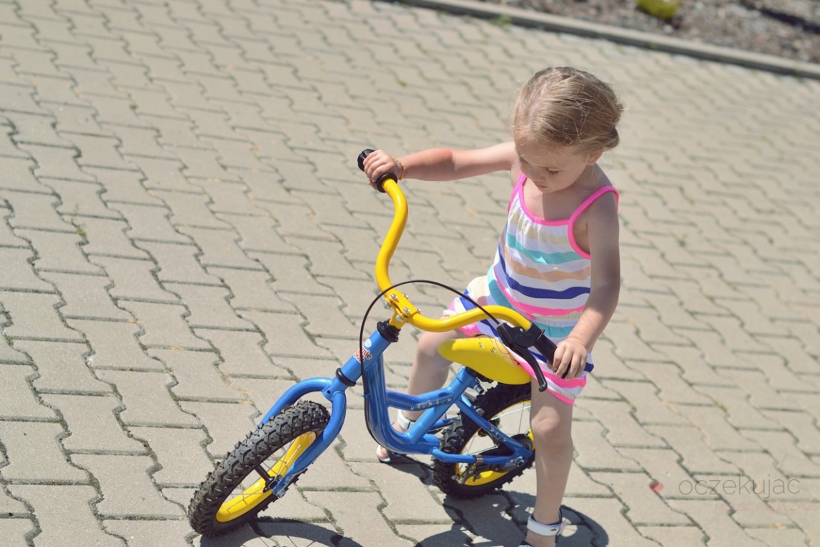 100015rowerek biegowy tesco